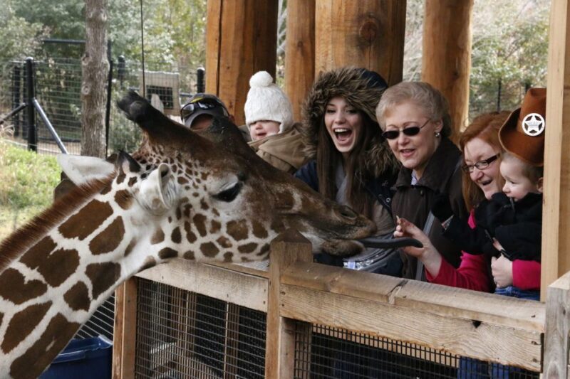 Dallas CityPASS®: Save up to 49% at 4 Top Attractions - The Sum Up