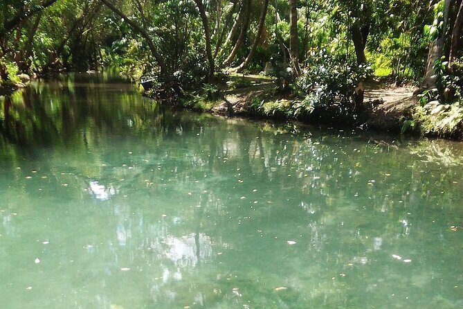Damajagua The 7 waterfalls excursion - Amber Cove & Taino bay - The Sum Up