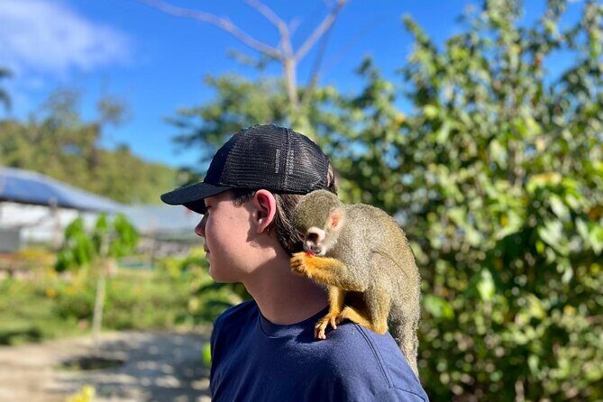 Damajagua Waterfalls and Monkey Private Van Tour - An Introduction to the Tour