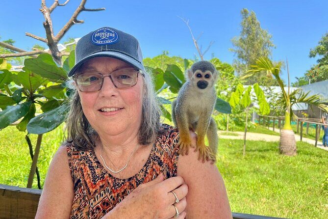 Damajagua Waterfalls and Monkey Private Van Tour - The Experience of Transportation and Service