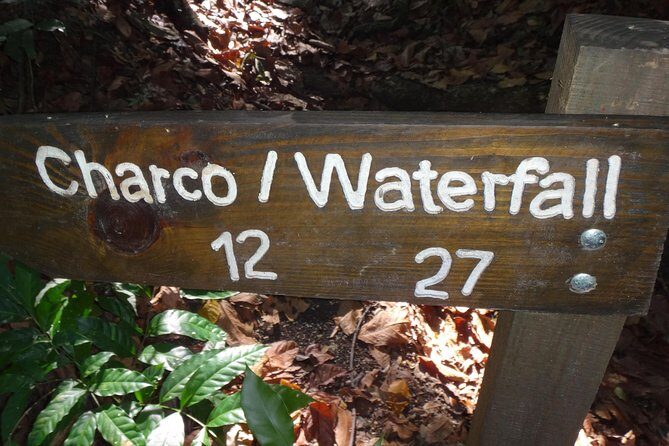 Damajagua Waterfalls for Cruise Ship Passengers - The Sum Up