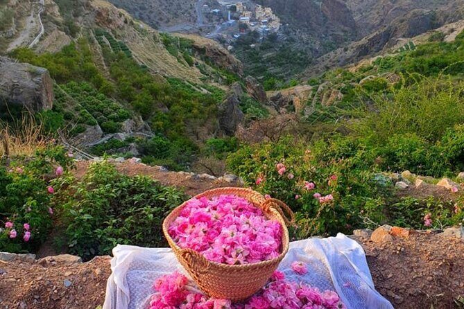 Damascus Roses - Discover the secrets of Al Jabal Al Akhdhar - Key Points