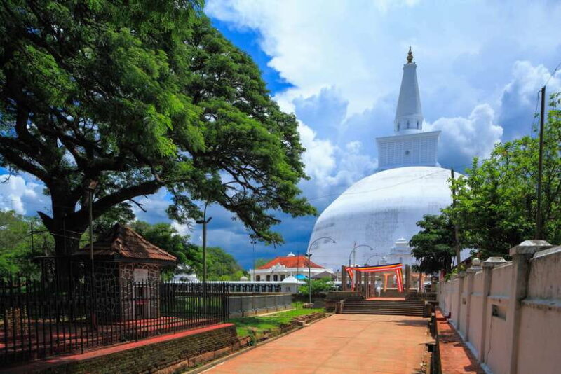 Dambulla: Anuradhapura and Mihintale Day Tour - Who Should Consider This Tour?