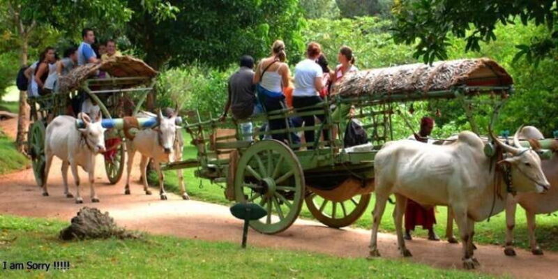 Dambulla: Caves Temple & Traditional Village Tour with Lunch - Exploring Dambulla: Cave Temples & Traditional Village Tour with Lunch
