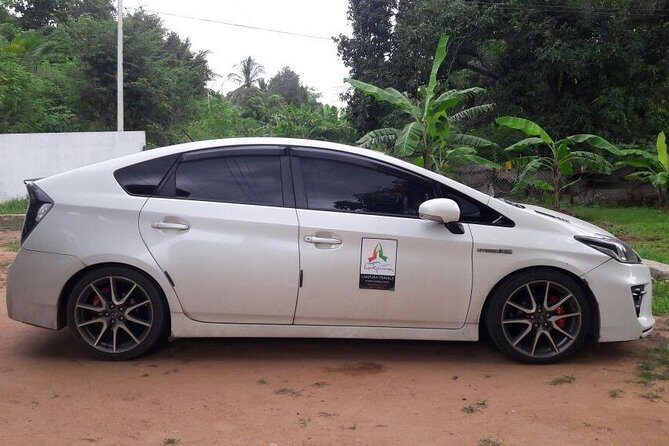 Dambulla City to Kandy City Private Transfer - An In-Depth Look at the Dambulla to Kandy Transfer Experience