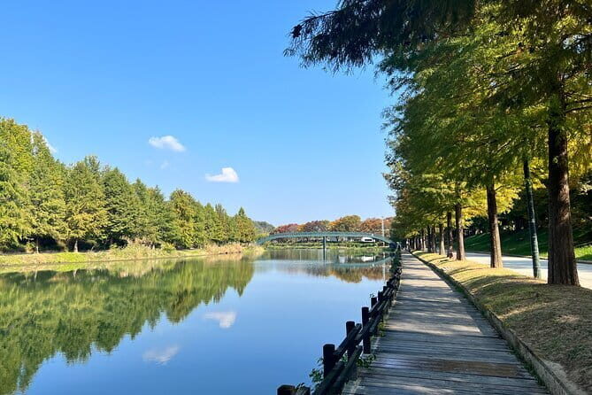 Damyang Bamboo Forest Tour (Private) - Starting Off in Gwangju: The Best Way to Reach Damyang