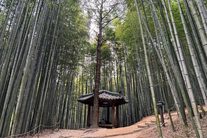 Damyang Bamboo Forest Tour (Private) - Gwanbangjerim Forest: An Ingenious Historical Site