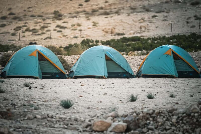 Dana to Petra Trek + Wadi Rum & the Dead Sea - Who Will Love This Tour?