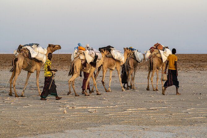 Danakil Depression 3 Days trip - Who Will Love This Tour?