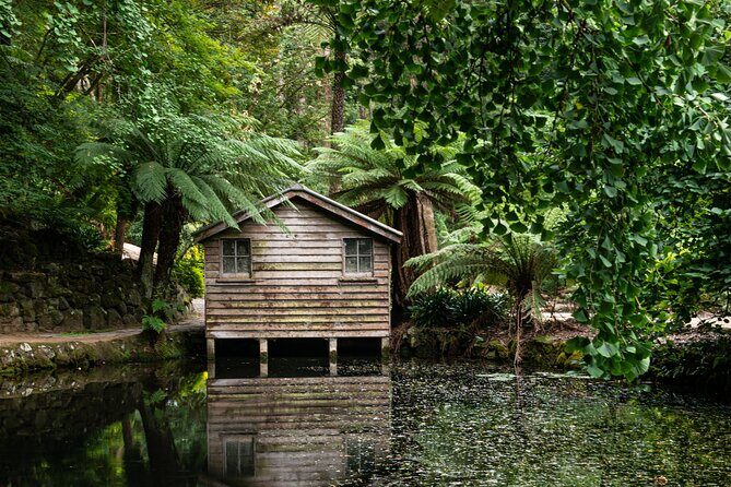 Dandenong Ranges Private Day Tour - Exploring the Itinerary in Detail