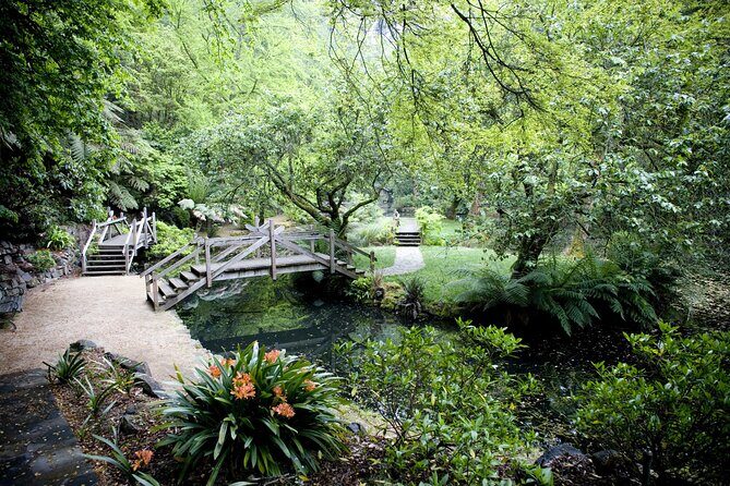 Dandenong Ranges Private Day Tour - The Value for Nature and Culture Lovers