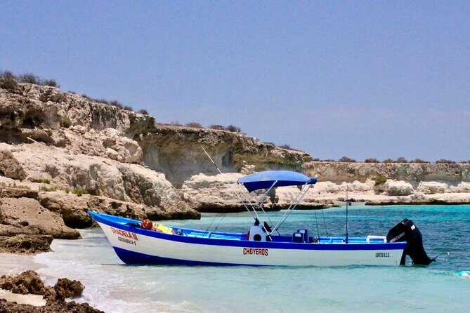 Danzante Island and Snorkel Tour from Villas del Palmar Hotel - Final Thoughts