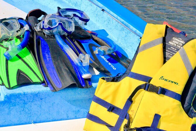 Danzante Island and Snorkel Tour from Villas del Palmar Hotel - FAQ