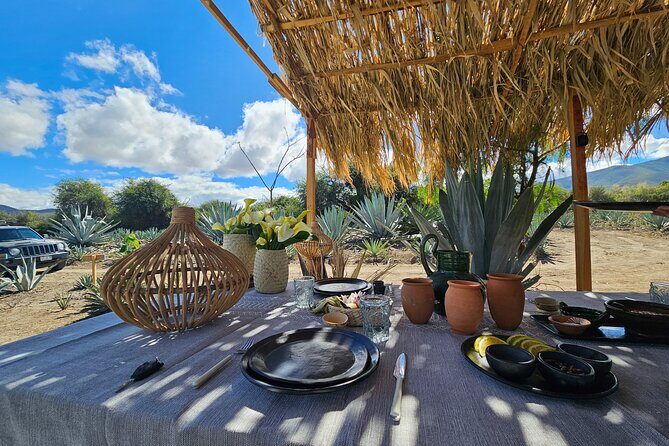 Danzantes Premium Mezcal, Hierve el Agua, Textiles & Lunch - Lunch in the Maguey Fields: A Unique Dining Experience