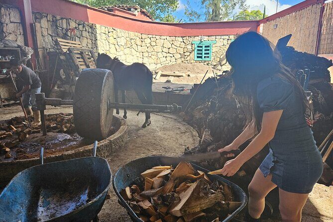 Danzantes Premium Mezcal, Hierve el Agua, Textiles & Lunch - Supporting Local Artisans: Textiles and Chocolate