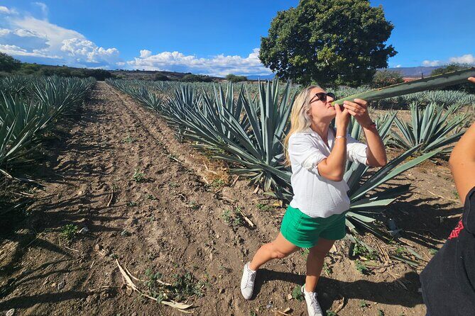 Danzantes Premium Mezcal, Hierve el Agua, Textiles & Lunch - Returning to Oaxaca: Reflecting on the Day
