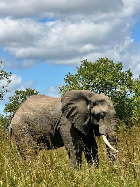 Dar es Salaam: 2-Day Mikumi Park Safari Tour by Luxury Train - What to Expect: Day 2 – Return to Dar es Salaam