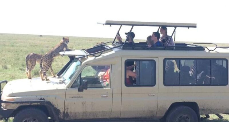 Dar es Salaam: 2-Day Selous Game Reserve Safari - An Authentic 2-Day Tanzanian Adventure