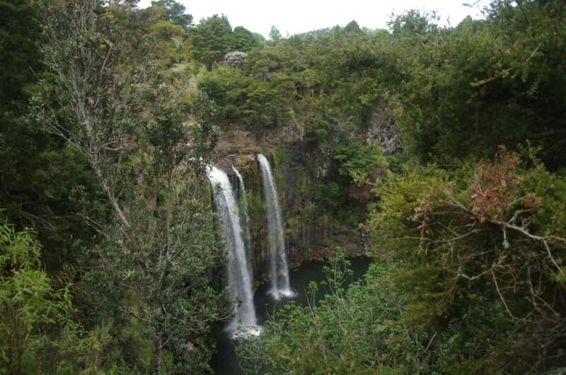 Dar es Salaam: 3-Day Mikumi & Udzungwa Safari with Train - Key Points