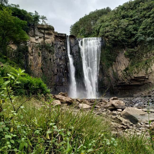 Dar es Salaam: 3-Day Mikumi & Udzungwa Safari with Train - The Itinerary: A Day-by-Day Breakdown