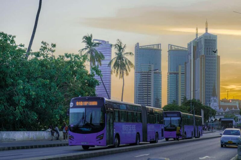 Dar es Salaam: City Highlights Tour with Local Guide - Key Points