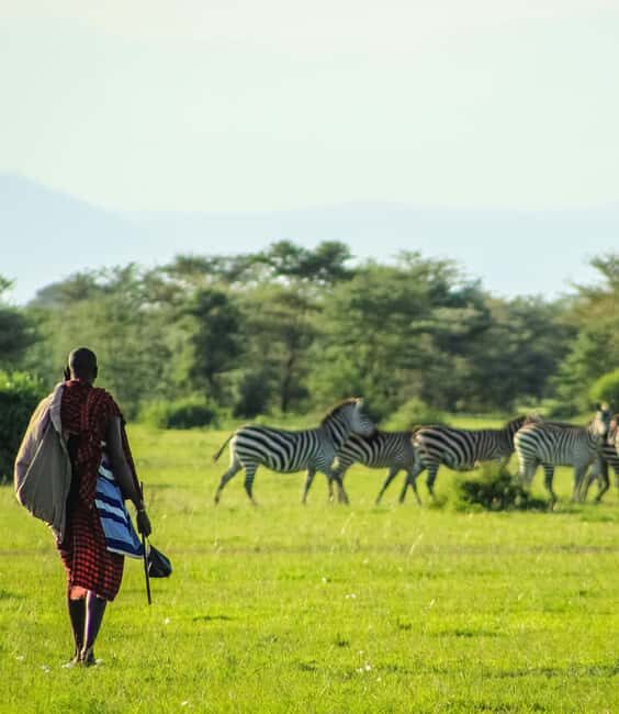 Dar es Salaam: City Highlights Tour with Local Guide - Final Thoughts