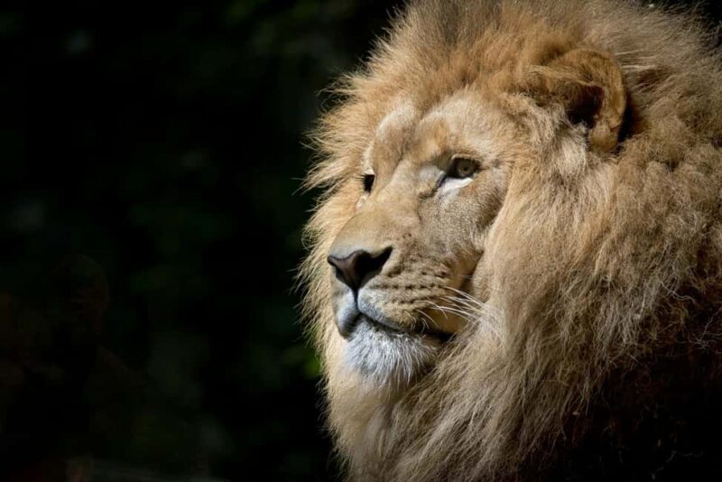 Dar es Salaam: City tour - FAQ