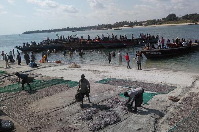 Dar es Salaam City Tour - Everyday - Who Will Love This Tour?