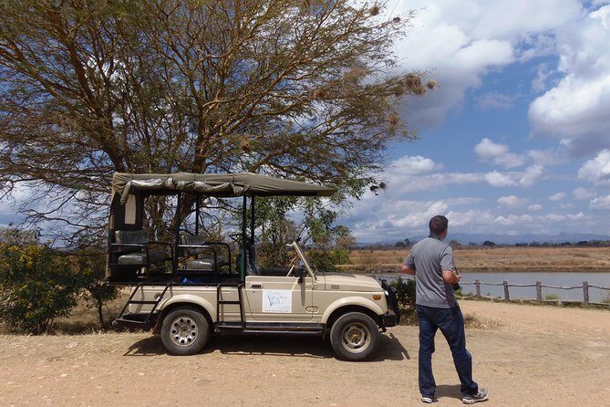 Dar Es Salaam: Day Trip Safari to Mikumi National Park by Train - Transportation and Comfort