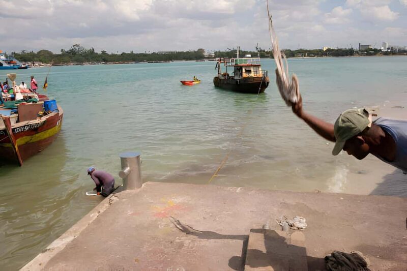 Dar es Salaam: Guided Fish Market Tour - A Closer Look at the Fish Market Tour
