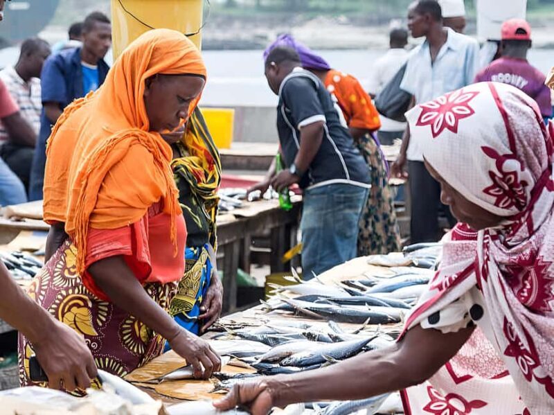 Dar es Salaam: Guided Fish Market Tour - Final Thoughts
