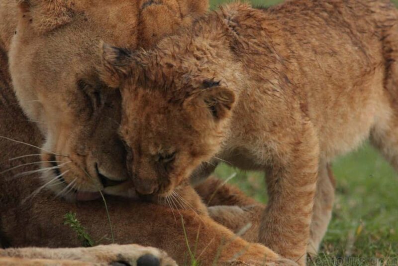 Dar es Salaam: Mbudya & Bongoyo Island Full-Day Tour - A Closer Look at the Tour Experience