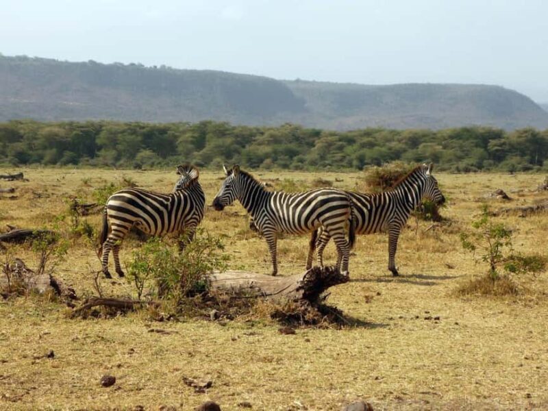 Dar es Salaam: Mbudya & Bongoyo Island Full-Day Tour - Analyzing the Value