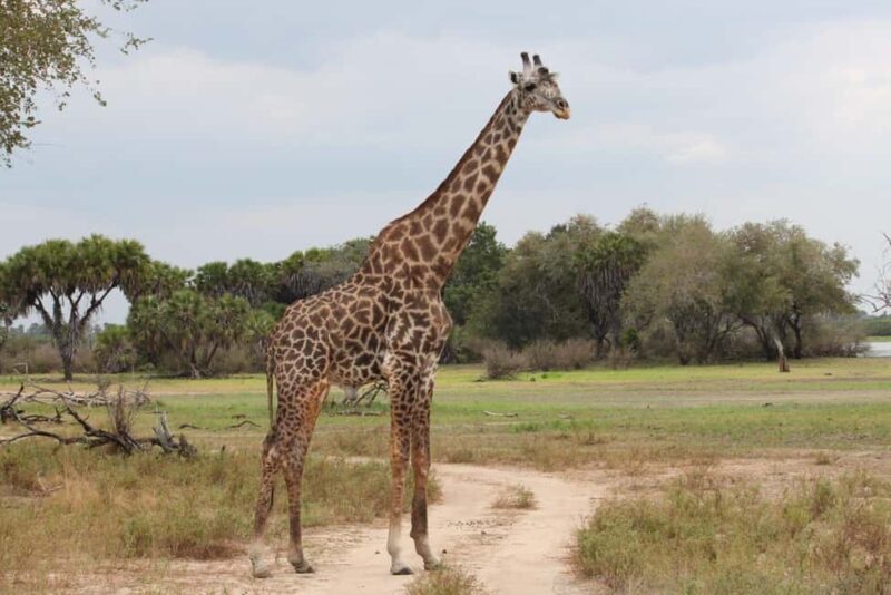 Dar es Salaam: Mbudya & Bongoyo Island Full-Day Tour - Who Will Love This Tour?