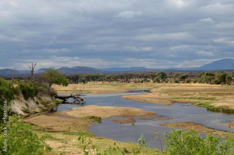 Dar es Salaam: Mikumi National Park 2-Day Train Tour - Final Thoughts: Who Will Love This Tour?
