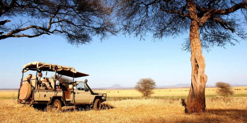 Dar es Salaam: Mikumi National Park Day Trip with Train Ride - Key Points
