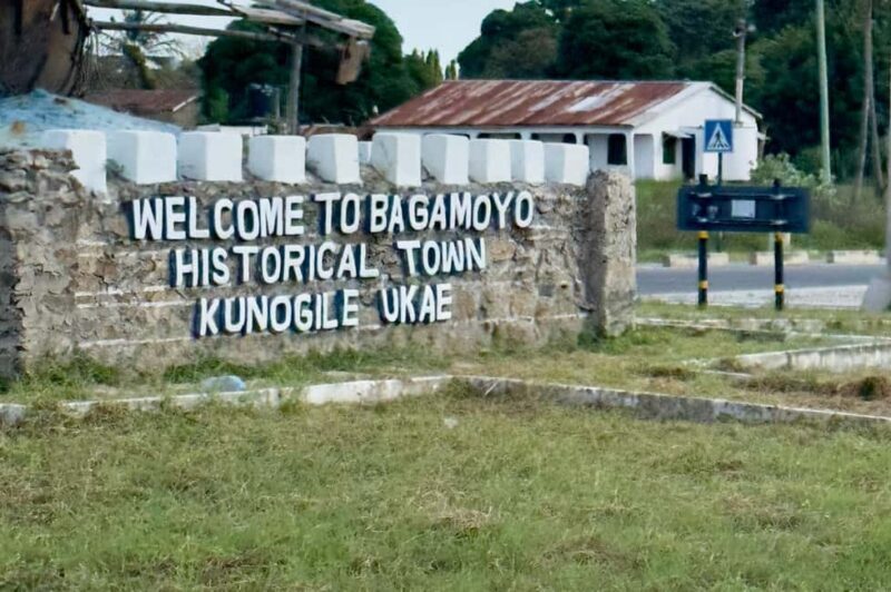DAR ES SALAAM : TRIP DAR ES SALAAM TO BAGAMOYO OLD CITY TOUR - Who Should Book This Tour?