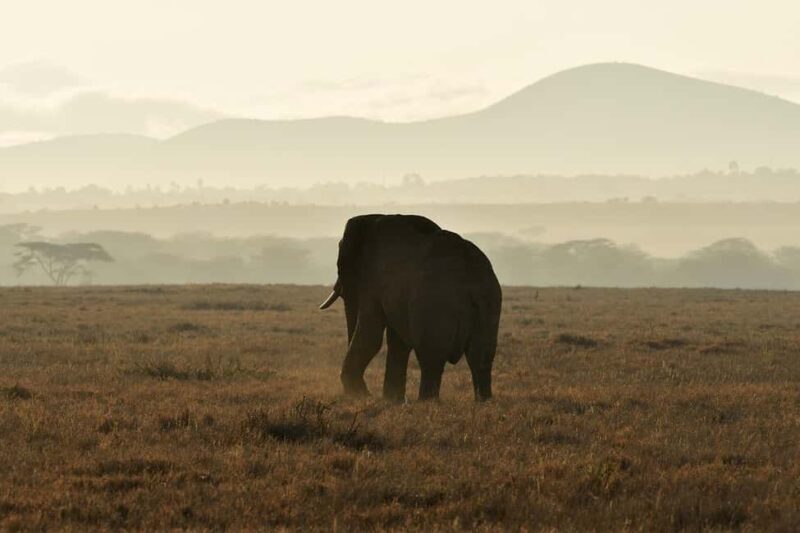 Dar es Salaam:3Day Mikumi Safari & Waterfall &Open roof Jeep - Who will enjoy this experience?