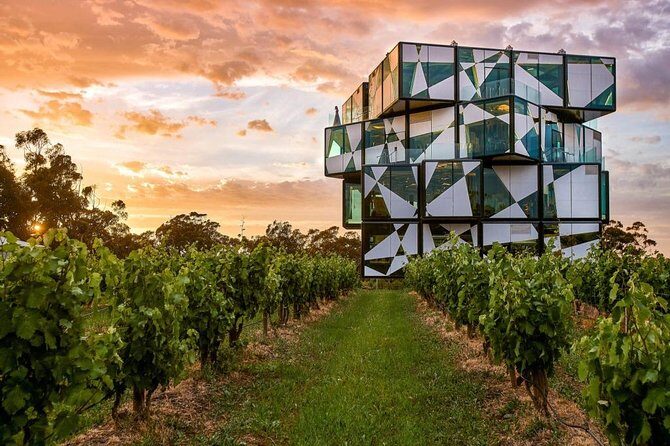 d'Arenberg Cube / McLaren Vale Regional Tour - Discover the Charm of the dArenberg Cube / McLaren Vale Regional Tour
