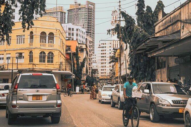 Daressalaam city sightseeing private tour - What the Reviews Say