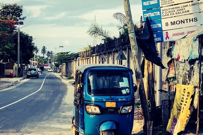 Daressalaam city sightseeing private tour - Who Should Consider This Tour?