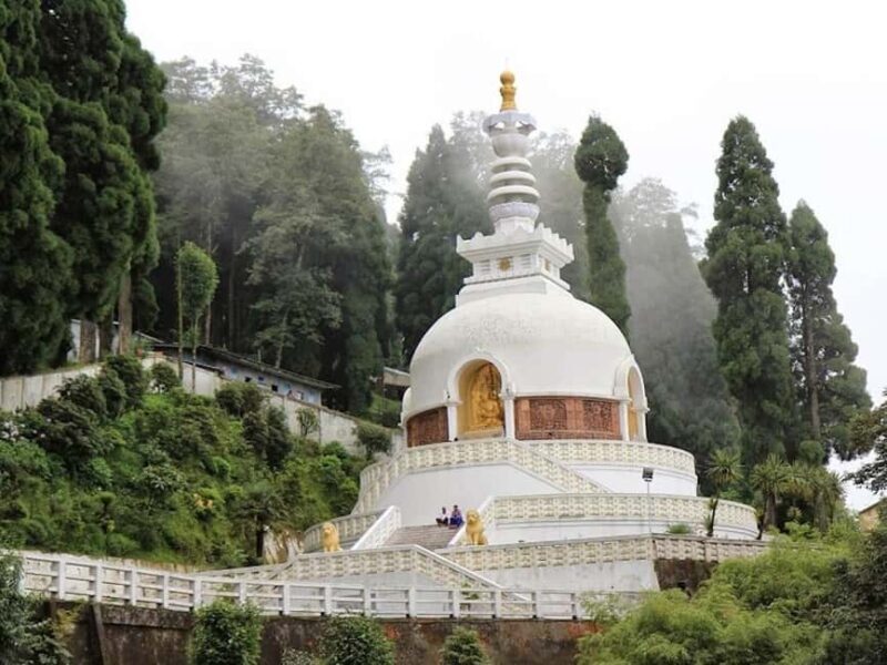 Darjeeling: 4 Day Tour w Tea Garden Visit, transfers & stay - Who Will Enjoy This Tour?