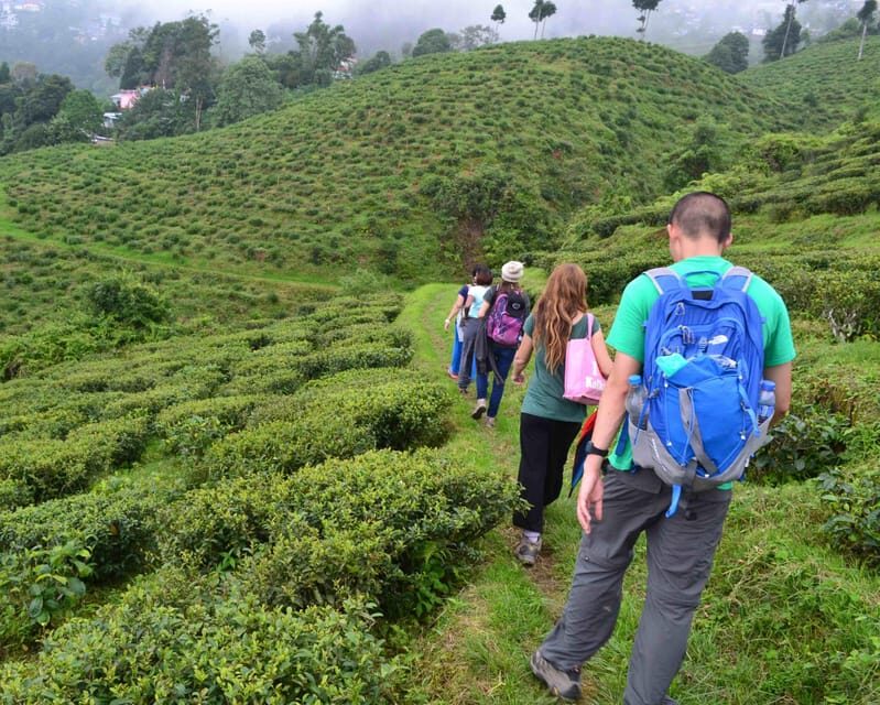 Darjeeling Cultural & Nature Walking Guided Tour - The Experience: Authenticity, Views, and Guides