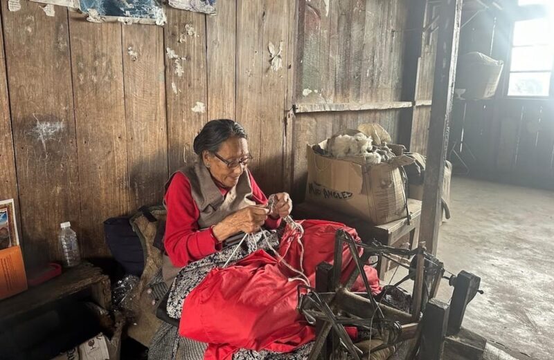 Darjeeling Cultural & Nature Walking Guided Tour - Who Will Love This Tour?