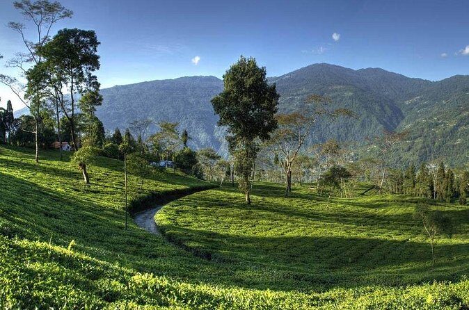 Darjeeling Hills Escape for 3 Nights and 4 Days Private Tour - The Sum Up