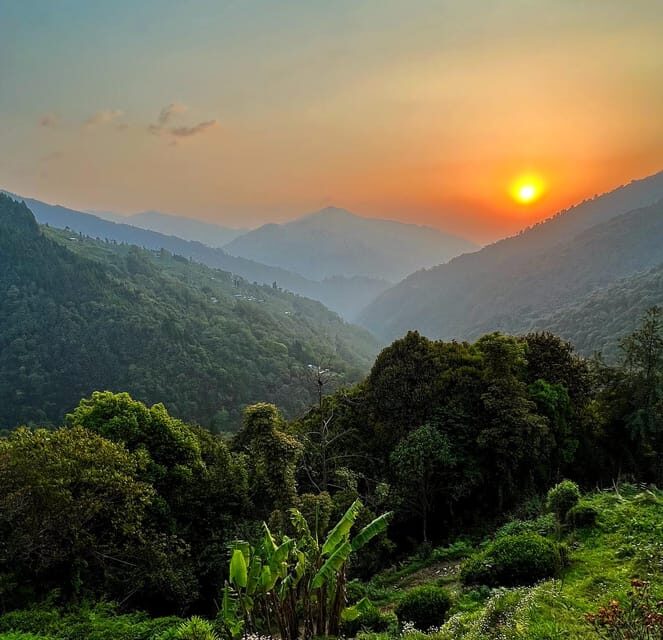Darjeeling: Tiger Hill Sunrise Hike Guided Day Trip - A Detailed Look at the Tour Experience