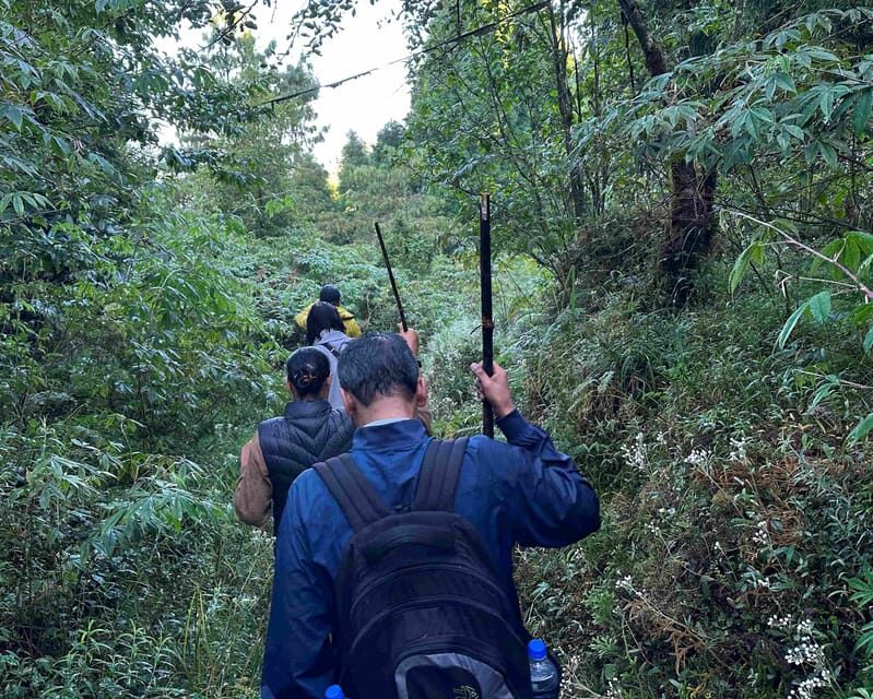 Darjeeling: Tiger Hill Sunrise Hike Guided Day Trip - FAQs