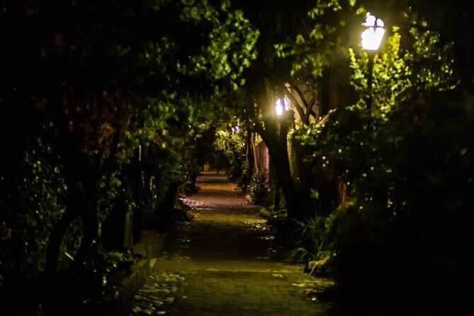 Dark Side of Charleston Guided Night-Time Walking Tour - What to Expect from This Tour