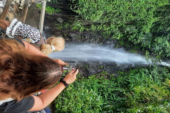 Dark View Falls & Botanical Gardens with Trubb Taxi Tours - The Value for Money