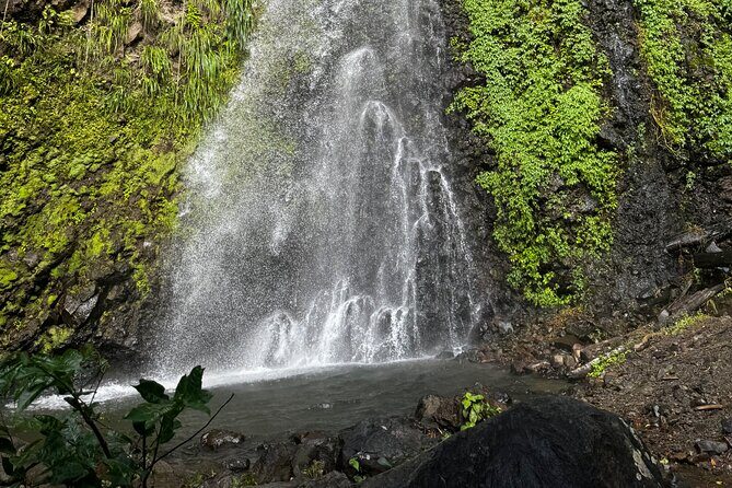 Dark View Falls Tour and Beach - Private Tour - Exploring the Itinerary in Detail